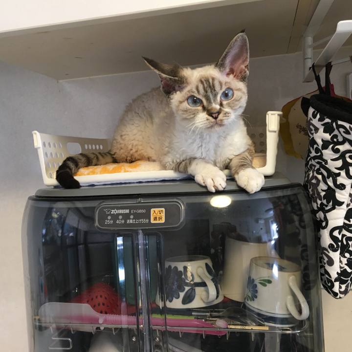 Dd3f73dd 95a4 4448 958f e186670a71c1 1588920877278