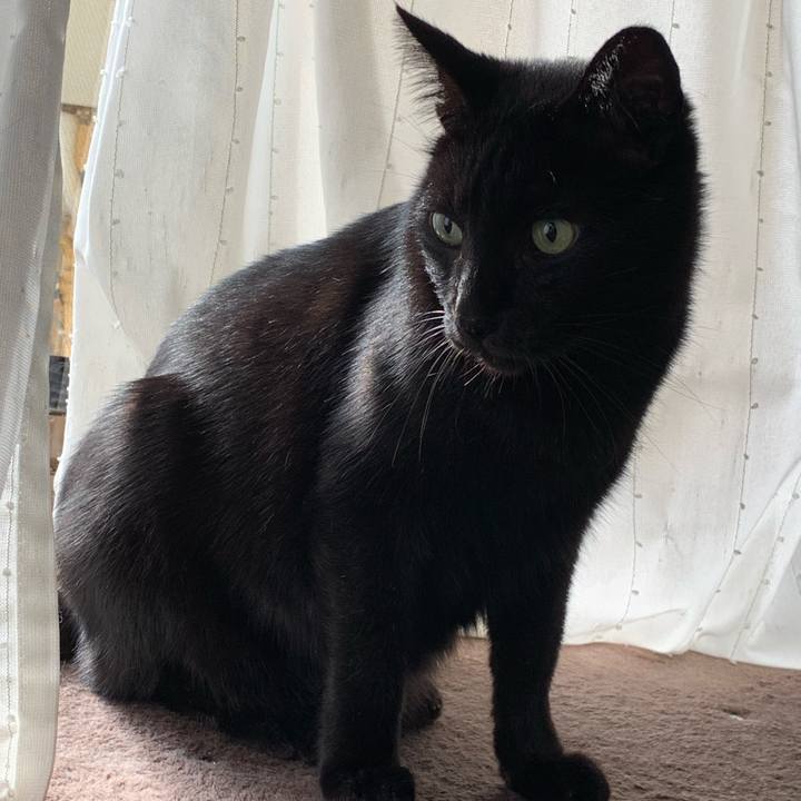 Dd3f88a9 9353 4288 a90f 0e3eb68858c1 1541551377153