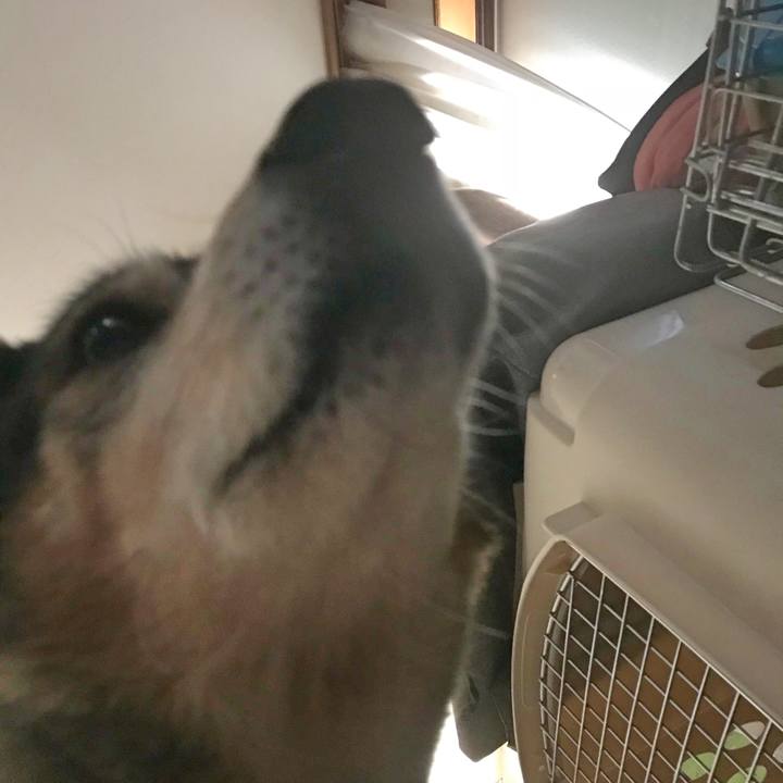 Dd3fa10c ebdc 4732 a8c2 faf8b2e9b6c6 1524356032819