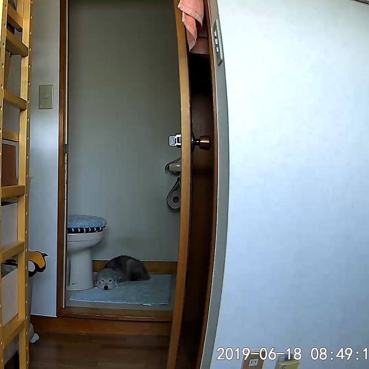 Dd3fb3c1 b78f 402f 8cb7 882f811d7116 1560898140644