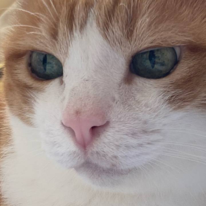 Dd3fc96c a3ce 47f2 9c46 e01d1ea2fcac 1763186443763