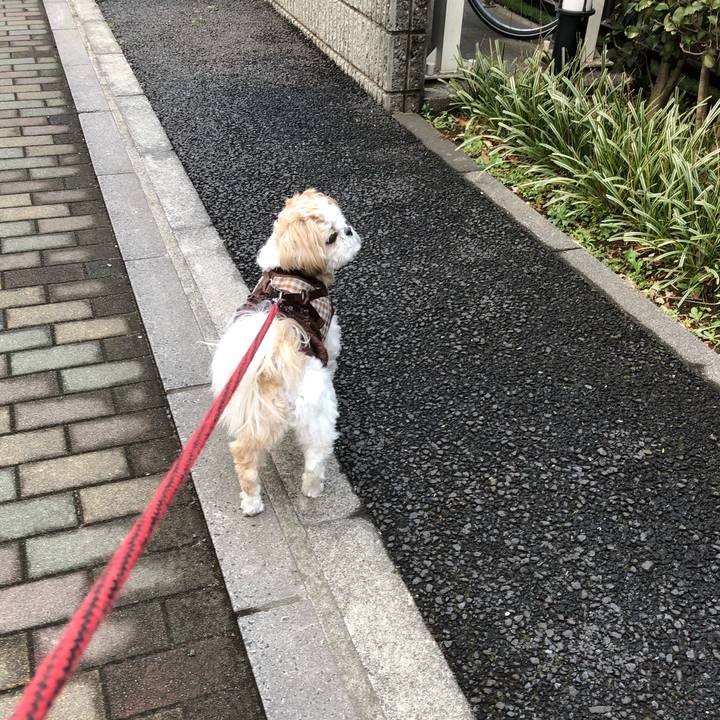 Dd3ffa50 f73e 4dca adaf 54aae0cfa820 1554414375480