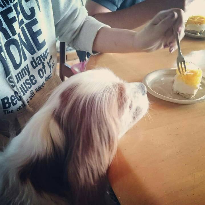 Dd402636 d459 49e0 aa18 0c950205c6ca 1525510117996