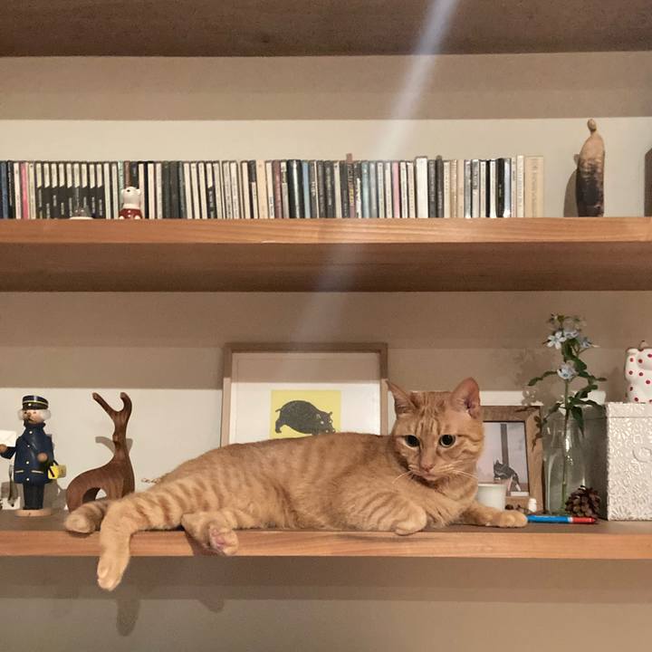 Dd4042f8 81c6 490a ba04 cf5fbb8925d6 1639217848027