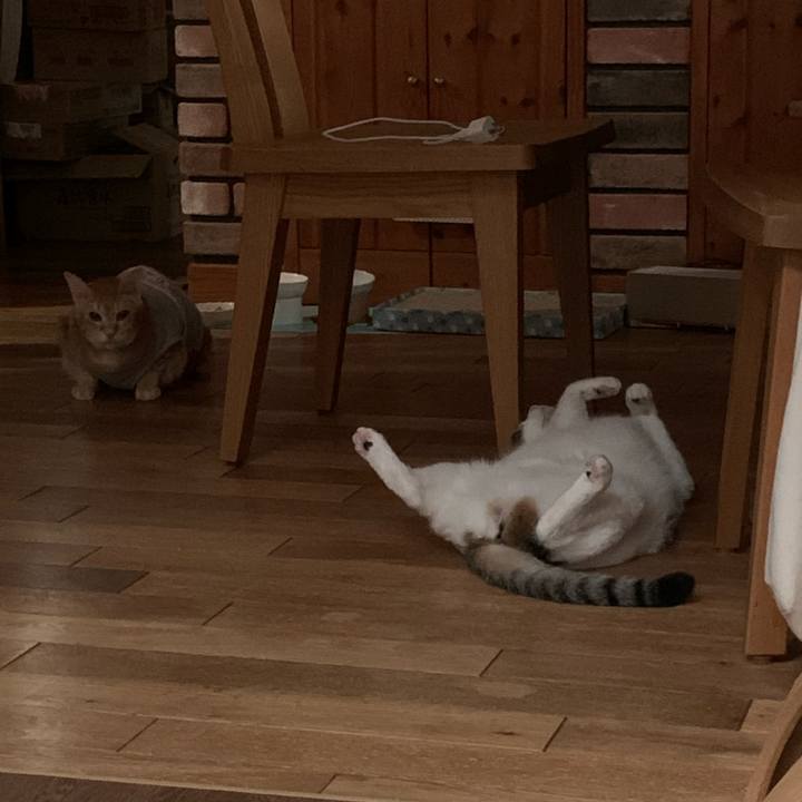 Dd406e92 2136 4101 b94d 7d0b4ee0b408 1599473278043