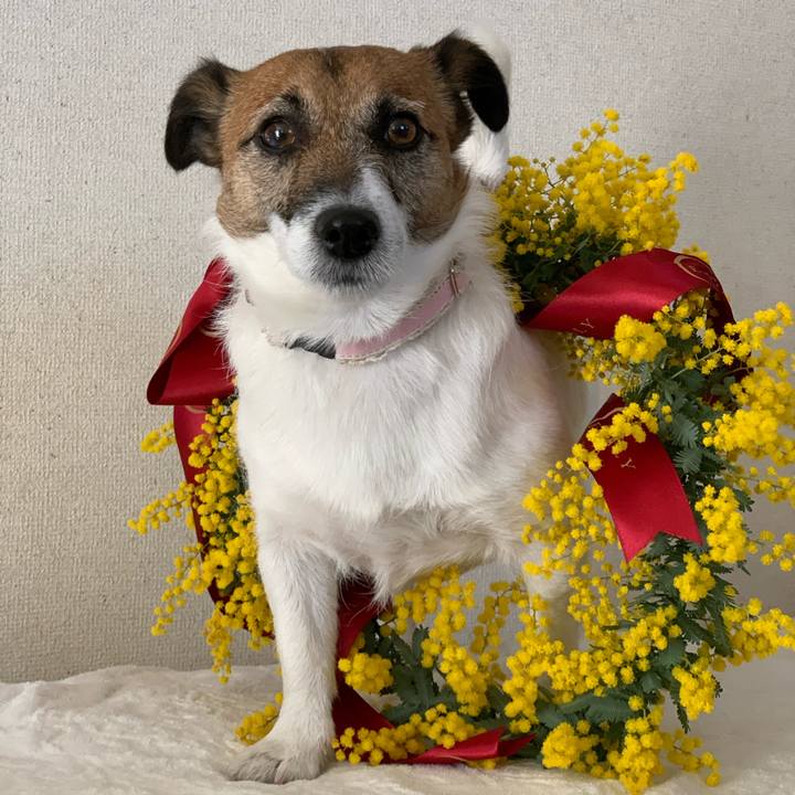 Dd40a5ae 71cc 450d 8b42 381695c1398c 1582514829145