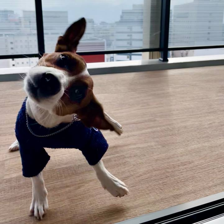 Dd40c717 3ba6 4e35 b5e3 e2eaa685e2b9 1644798209814