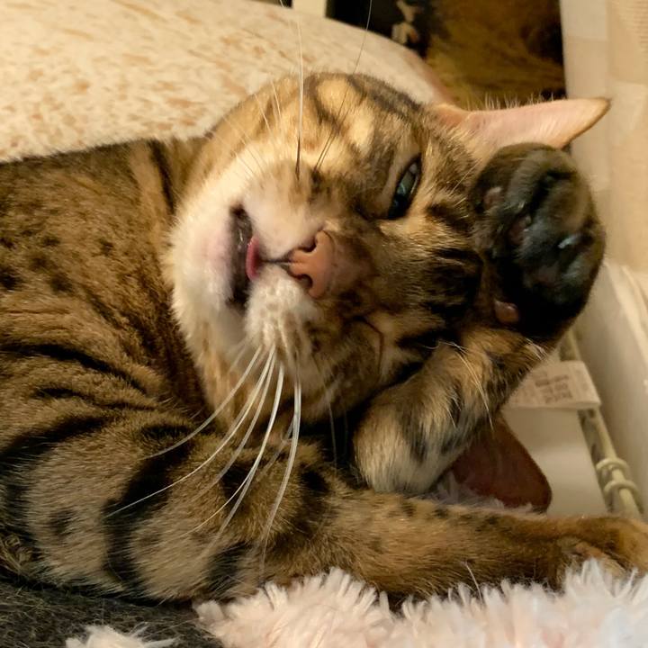 Dd40f7bf b329 425b 8923 2a5276decea7 1596898508925