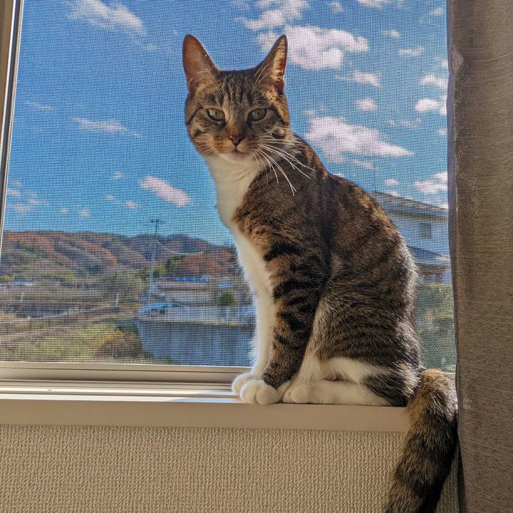 Dd413188 b1da 4d3c a838 993053891c76 1701521131282