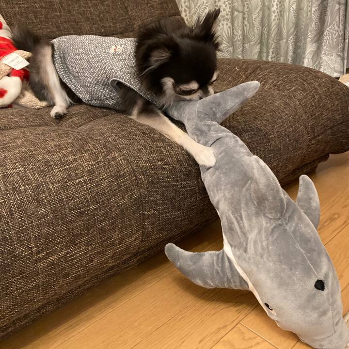 Dd414f84 5969 4c71 82cb 59042c9026ea 1705751185215