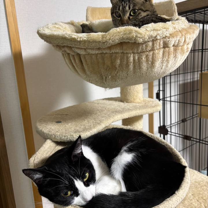 Dd41a23e 75de 4d26 a1c9 d8758c8b6d25 1766283178089