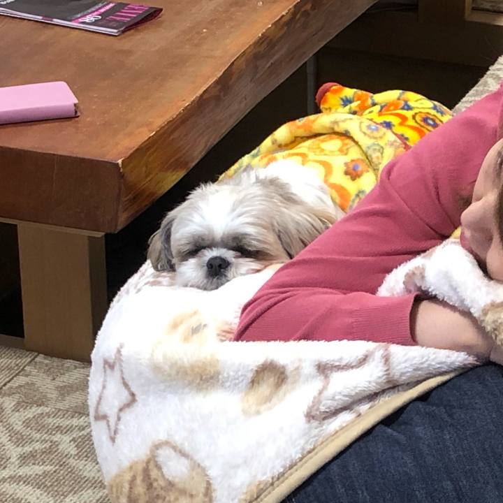 Dd41b5c1 b400 4e44 a311 c348c7c512ad 1561385381799