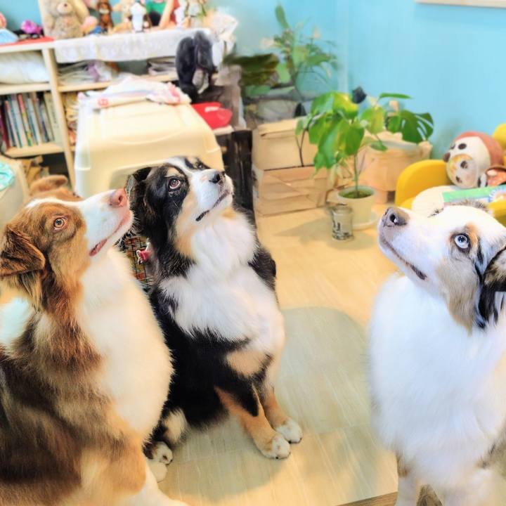 Dd41c786 34bf 440c a006 1a5188b2f882 1769253540517