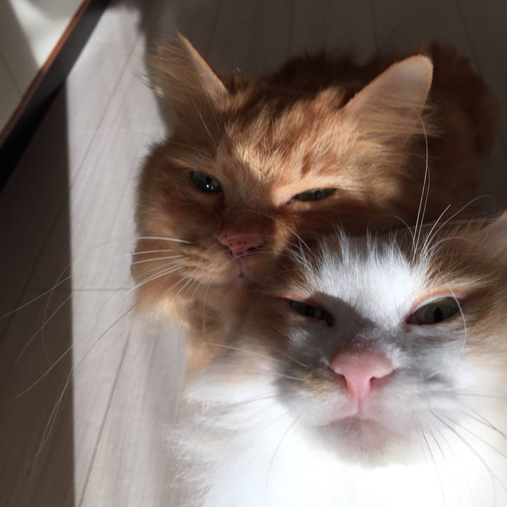 Dd41e788 da91 4cef a4d7 9dfc3ebeb045 1515878123836