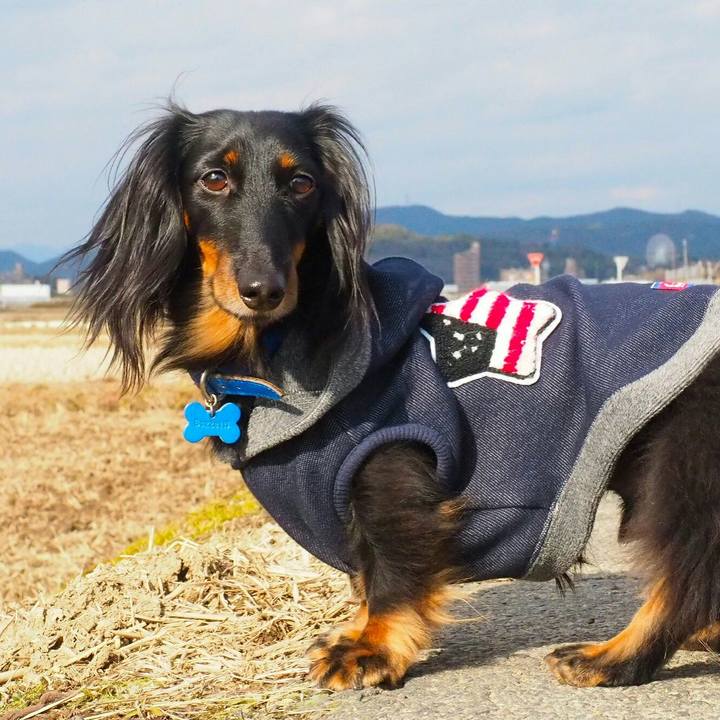 Dd42168f c05f 486b b806 36c97d9490bf 1516072460066