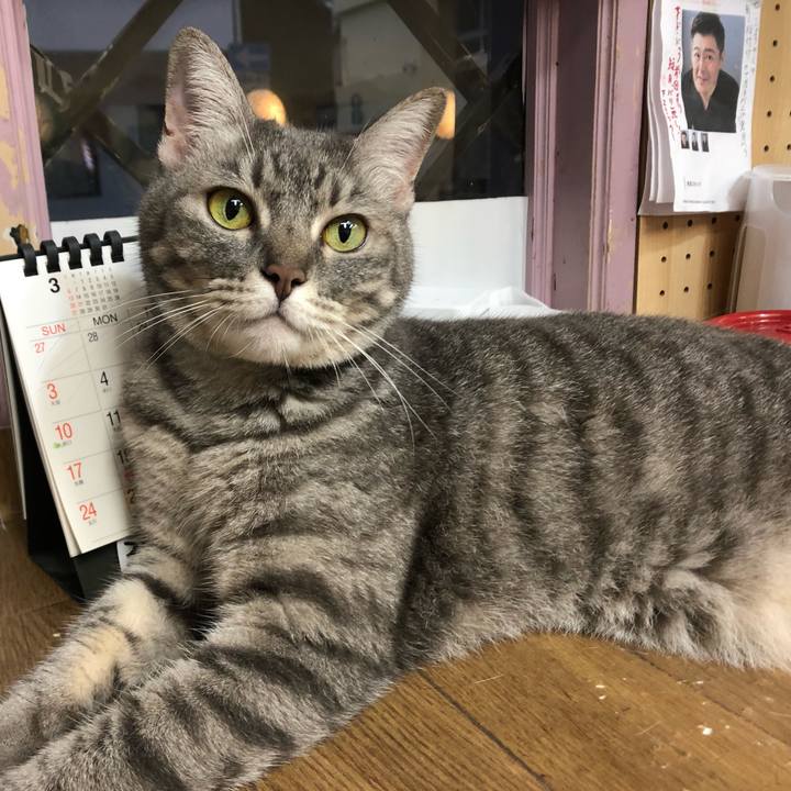 Dd4225ed 8627 4711 9038 8ca53e4aa3bd 1657240376488