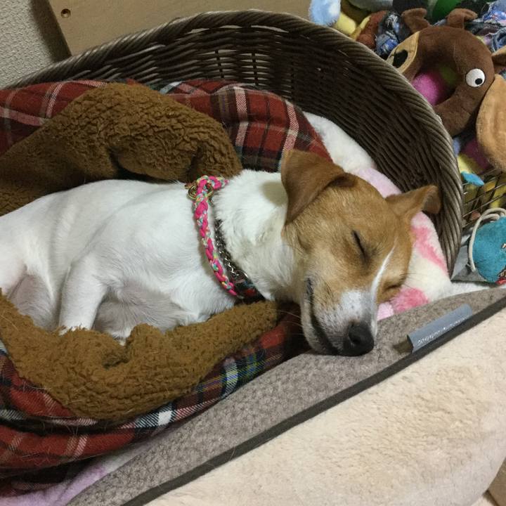 Dd422966 8bea 4d2f b958 8fe7b97bc371 1512306820371