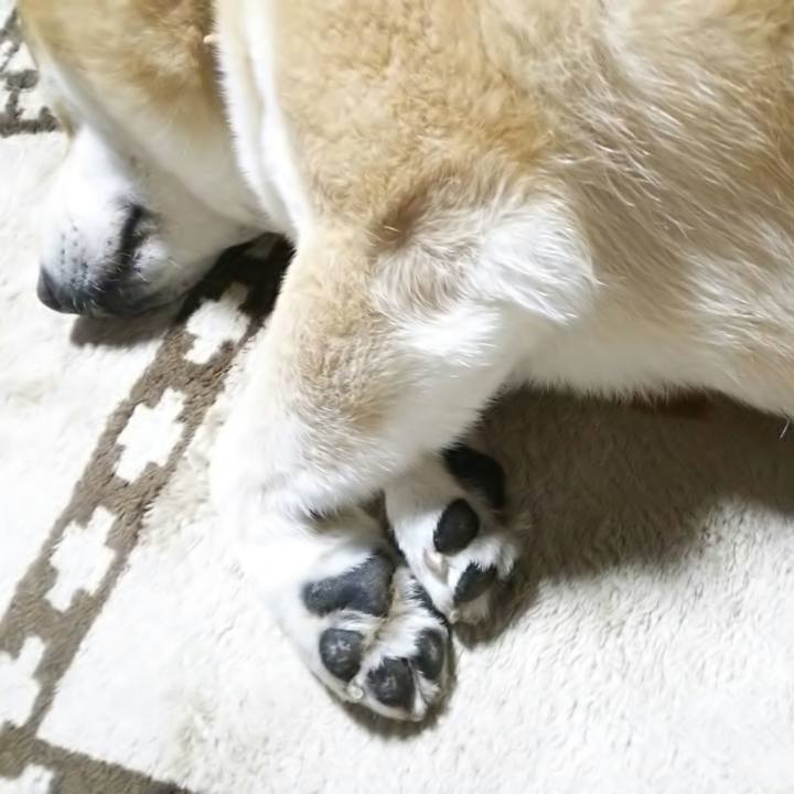 Dd425b6b 3088 4b5a a31e faa1614b82d3 1544262226140