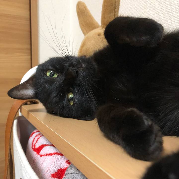 Dd427b45 4f0c 44f0 a707 5c67ae4cedc7 1509195822501