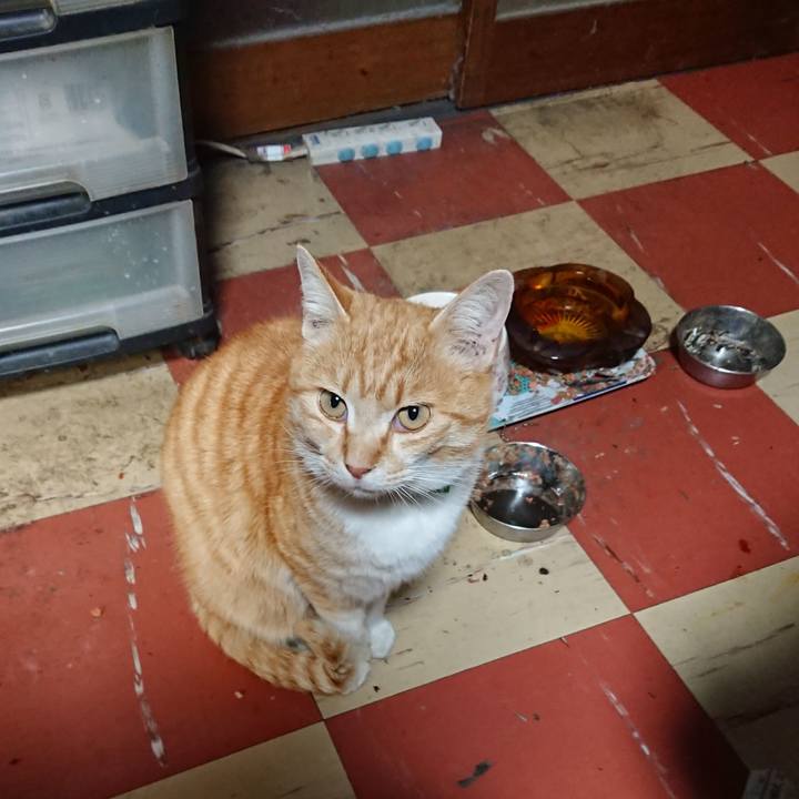 Dd428ef2 95ea 4098 ad30 f9c5ac7a2087 1585385602065