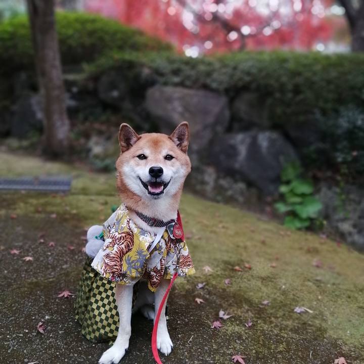 Dd42a7b2 6658 430c a41f 2a7bff0884f2 1638790323033