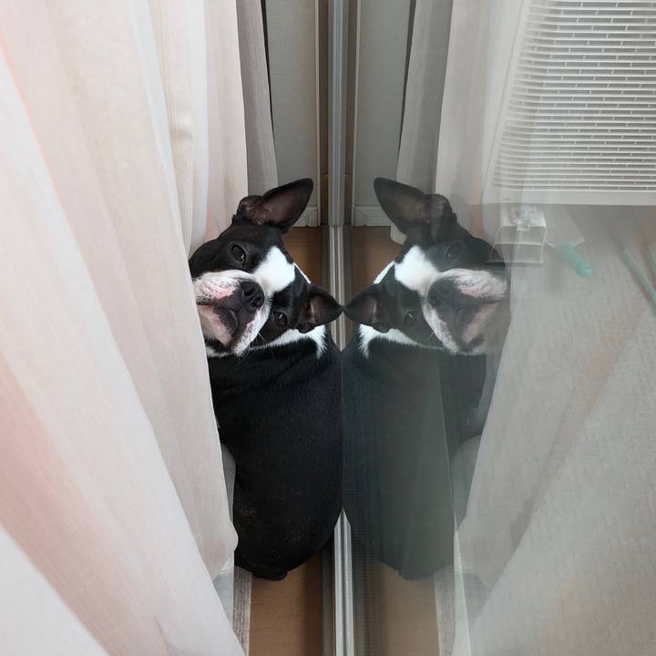 Dd42acdb 18b9 4c1c a73d 6344e9df1aa6 1533696765665