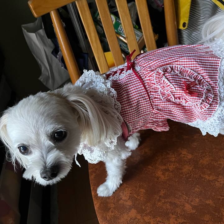 Dd42af36 4732 4027 a047 69be8892ae69 1694945160326