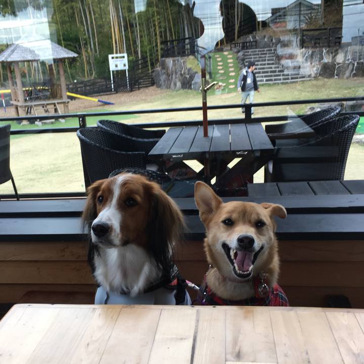 Dd42b334 580f 4e80 bdcd 950ee4d0967b 1544518453186