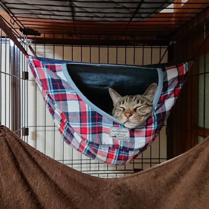 Dd42c002 293a 44bf 87a8 809cc44ba2c0 1566737944189