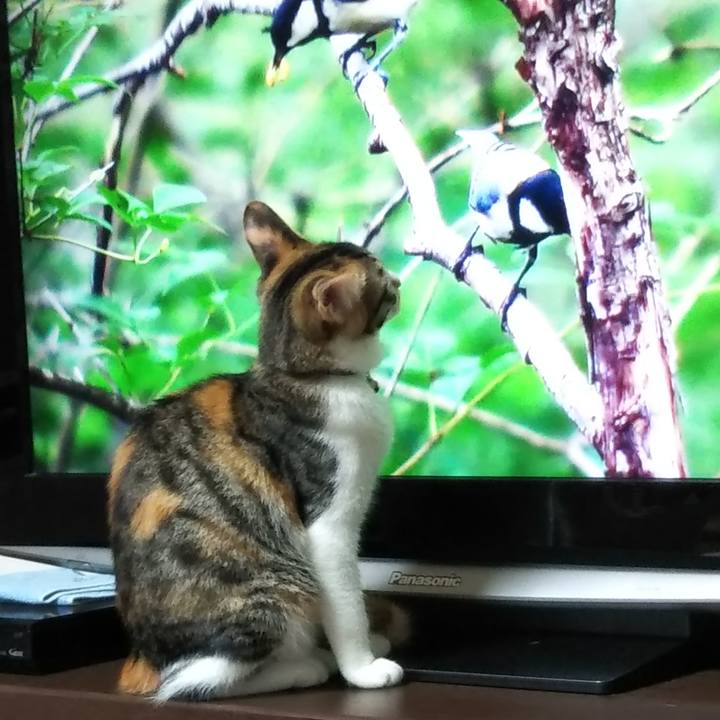 Dd42dd81 b6fb 4dc0 8279 8e60ec4e1ab2 1631537082090