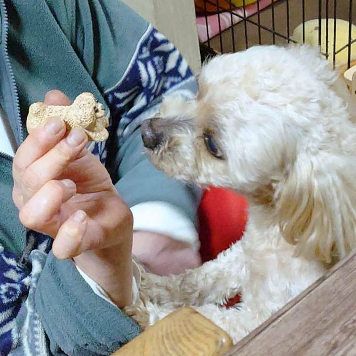 Dd42defb fe38 464a b40a ec67abf14d74 1615303025389