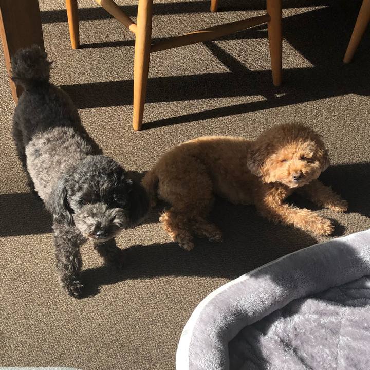 Dd4337f4 67fd 4799 bcbb c04c2e25f573 1604913822159