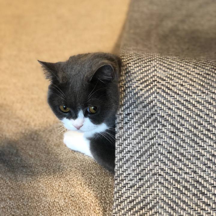 Dd434770 5407 47da 8fb4 0499662bd232 1567588519786