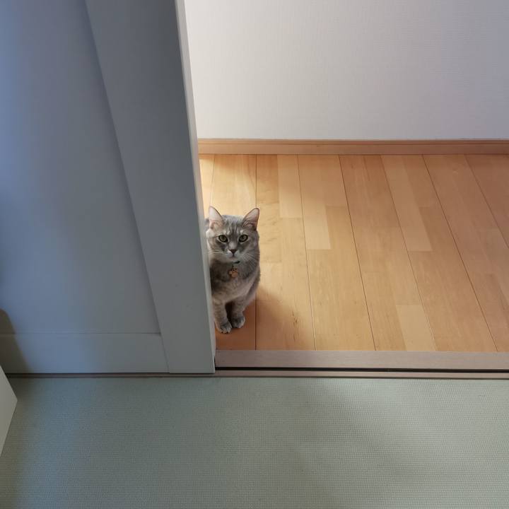 Dd43748b dd40 46ca 93a2 6590e282f530 1606880781709