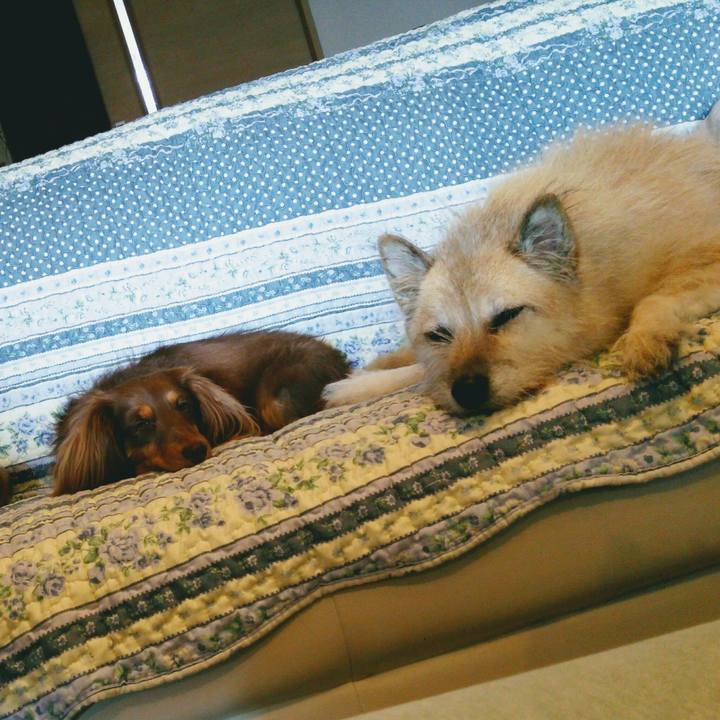 Dd43782b 5109 45b8 8321 addb4a3ea479 1509846975872