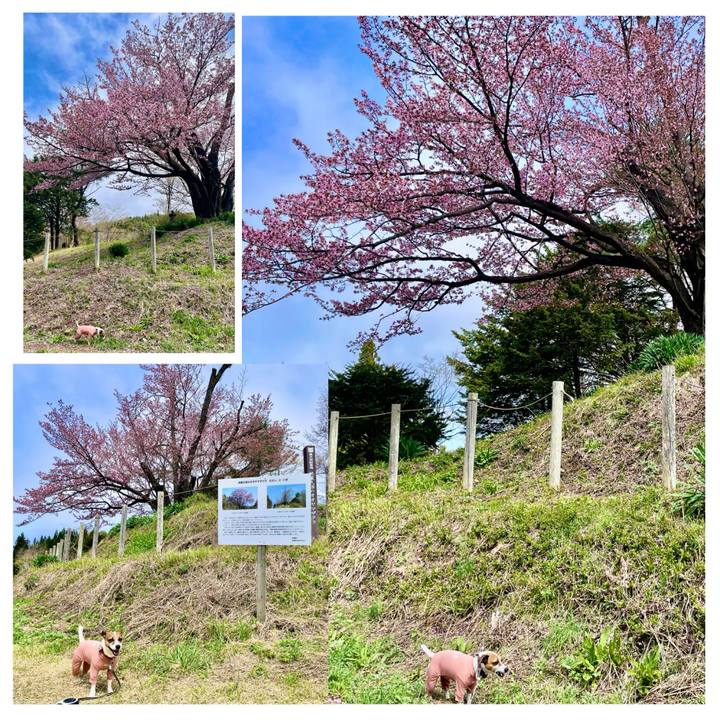 Dd43c61d 7201 49bc a9c0 7ff92f47fd15 1745487577523