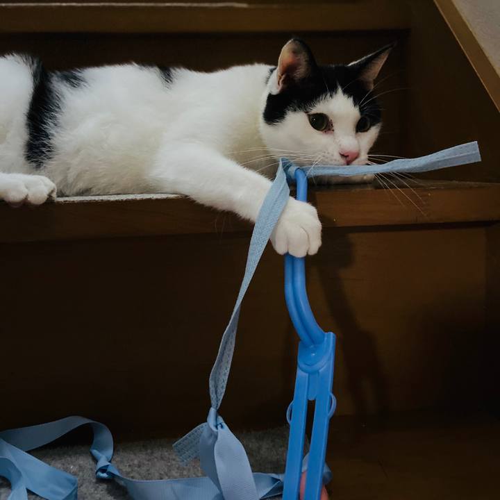 Dd43c7e8 b0e2 4893 ad02 f5a50f111284 1573646640404