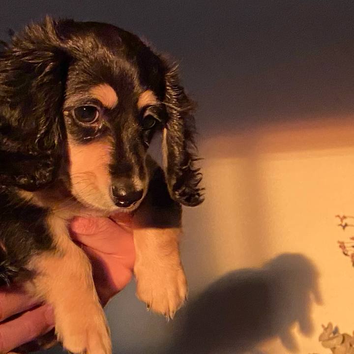 Dd43dea8 a2d6 4f7c 8f60 e110f9a01999 1664921359490