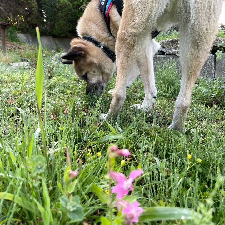 Dd43f83a 89f4 4b8c a3e6 dac4b2e2c958 1713356599696