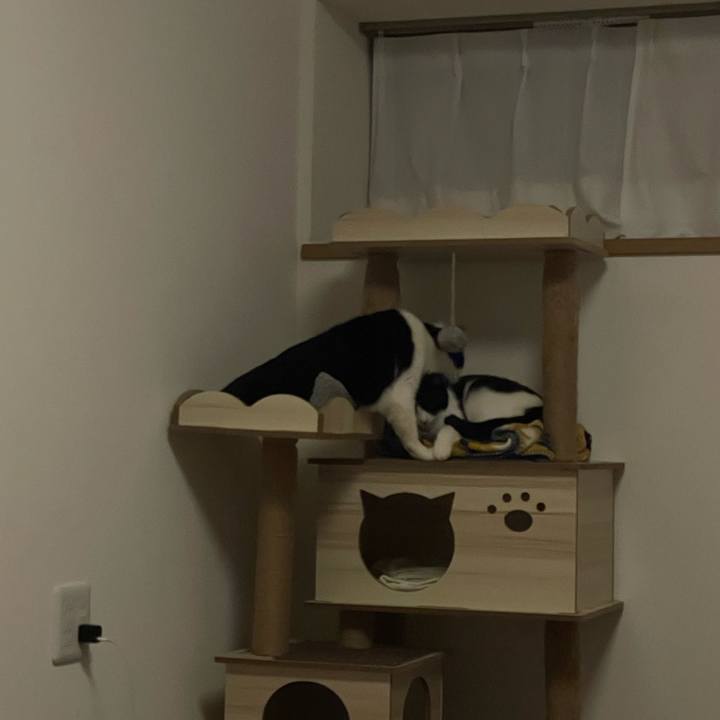 Dd43fa53 7cfc 4321 8ad2 764c5603ccfa 1705569332852