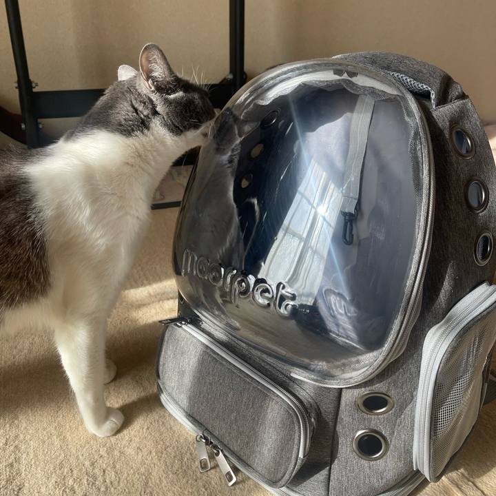 Dd441ed7 9350 4340 b9d3 3c1b8934dc2b 1703468538128