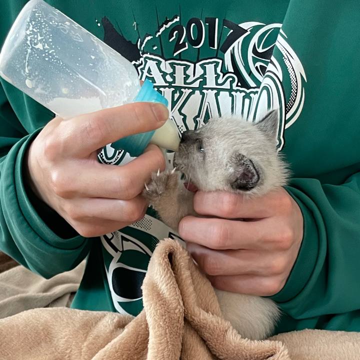 Dd44270e 110b 4039 a17e 4213e9e0ebe0 1685066378106