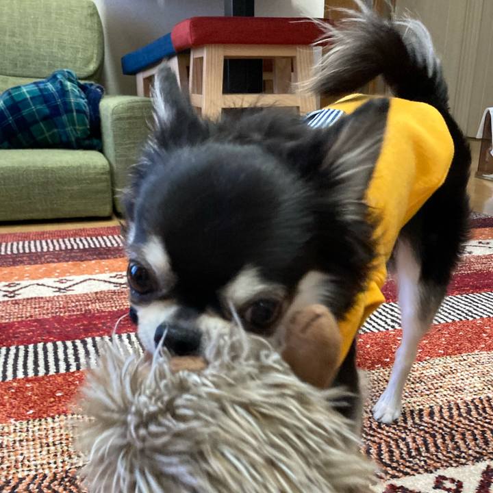 Dd44373d fb75 46a4 b5c9 83a6627d3703 1673274882768