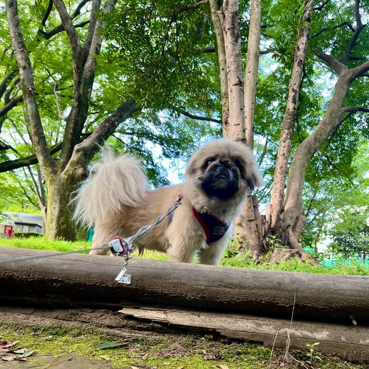 Dd446008 0d31 43f1 a34f 651603401c22 1750462322862