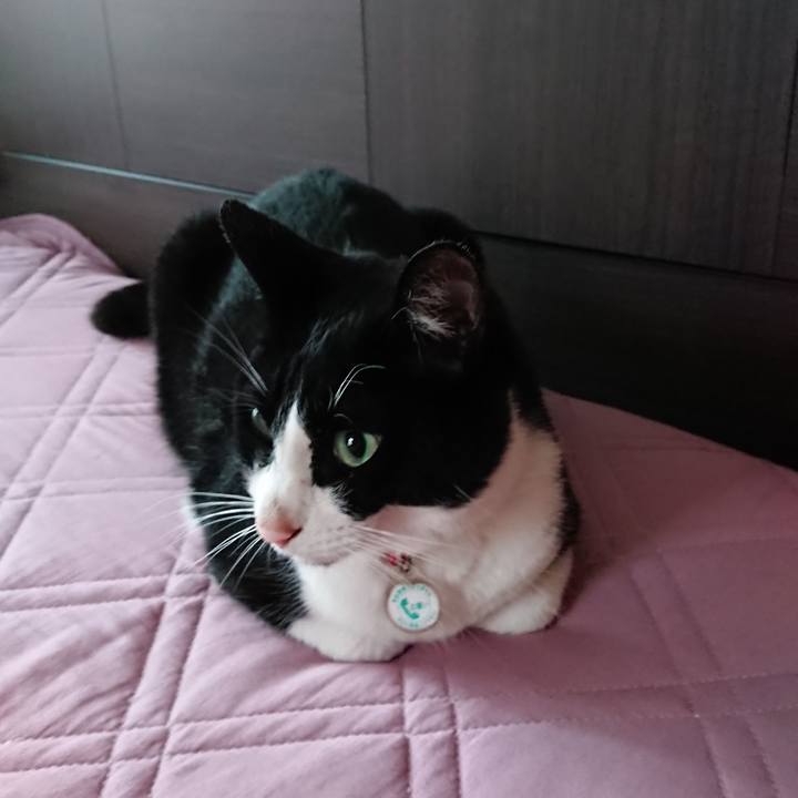 Dd44e035 576a 4fd1 b442 533050adb489 1626494552811