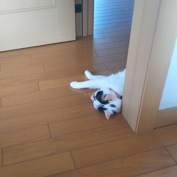 Dd44e691 991e 418d 91a4 9953d6be439a 1534918721167