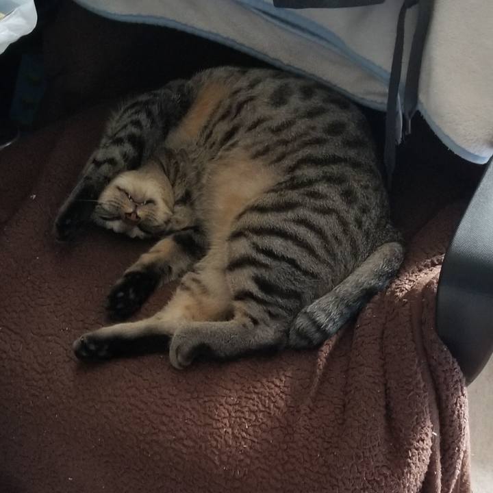 Dd44f7dc 5f76 4c8e 88df f7c151bfd233 1690264825679