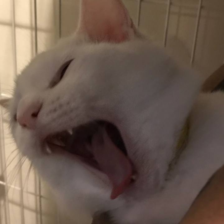 Dd4519b0 e571 43c3 b378 332e1659fd59 1521034238021