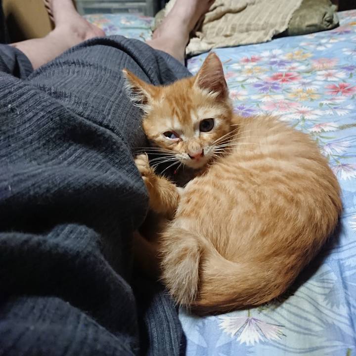 Dd454174 7147 4961 b693 a75510568c84 1628078821593