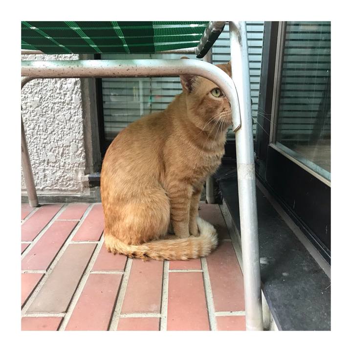 Dd45b733 b614 4266 8ec3 65661e2fdcf9 1657244998156